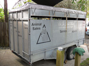 alpaca trailer with pvc  cap